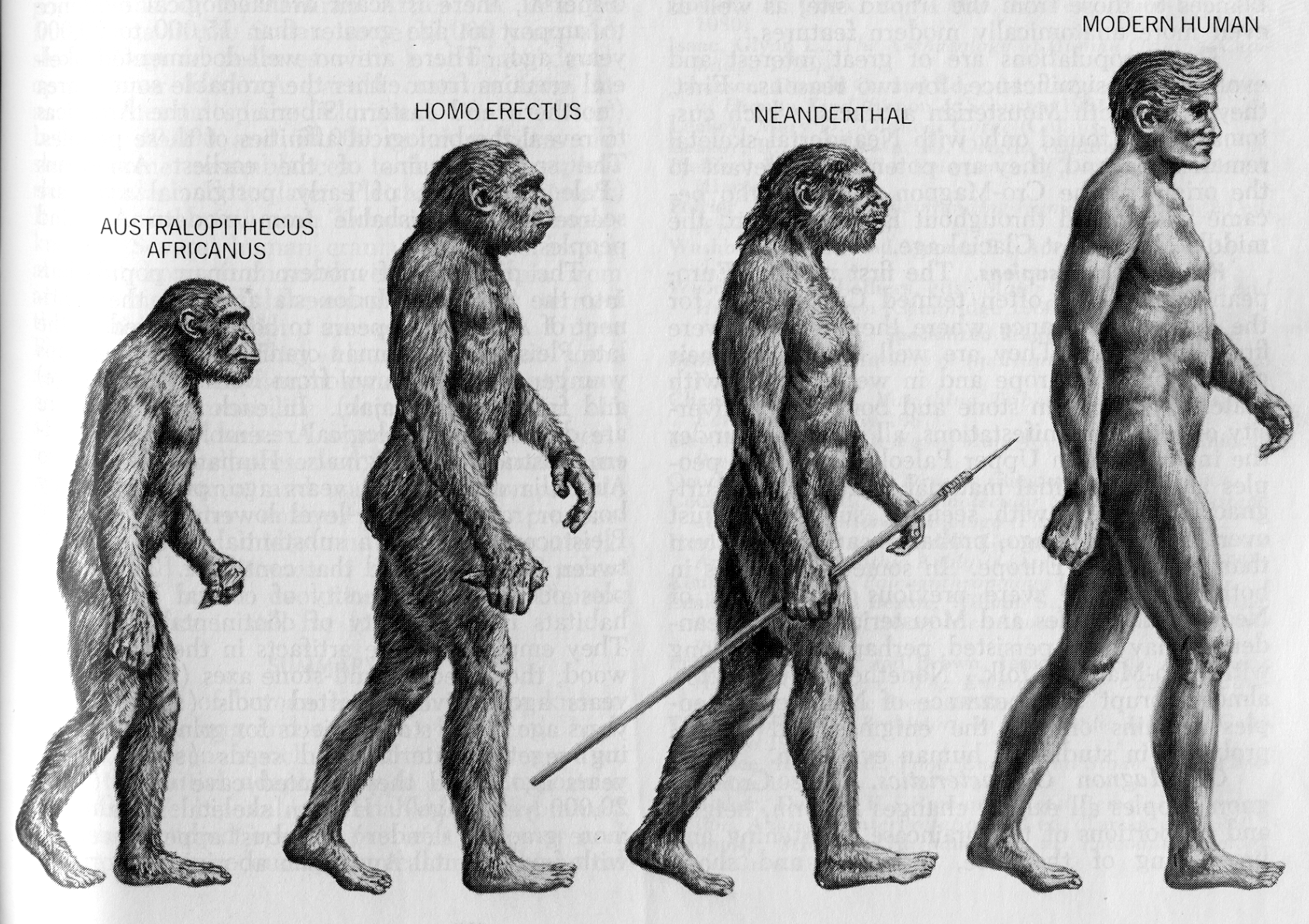 evolution-of-man-illustration.png